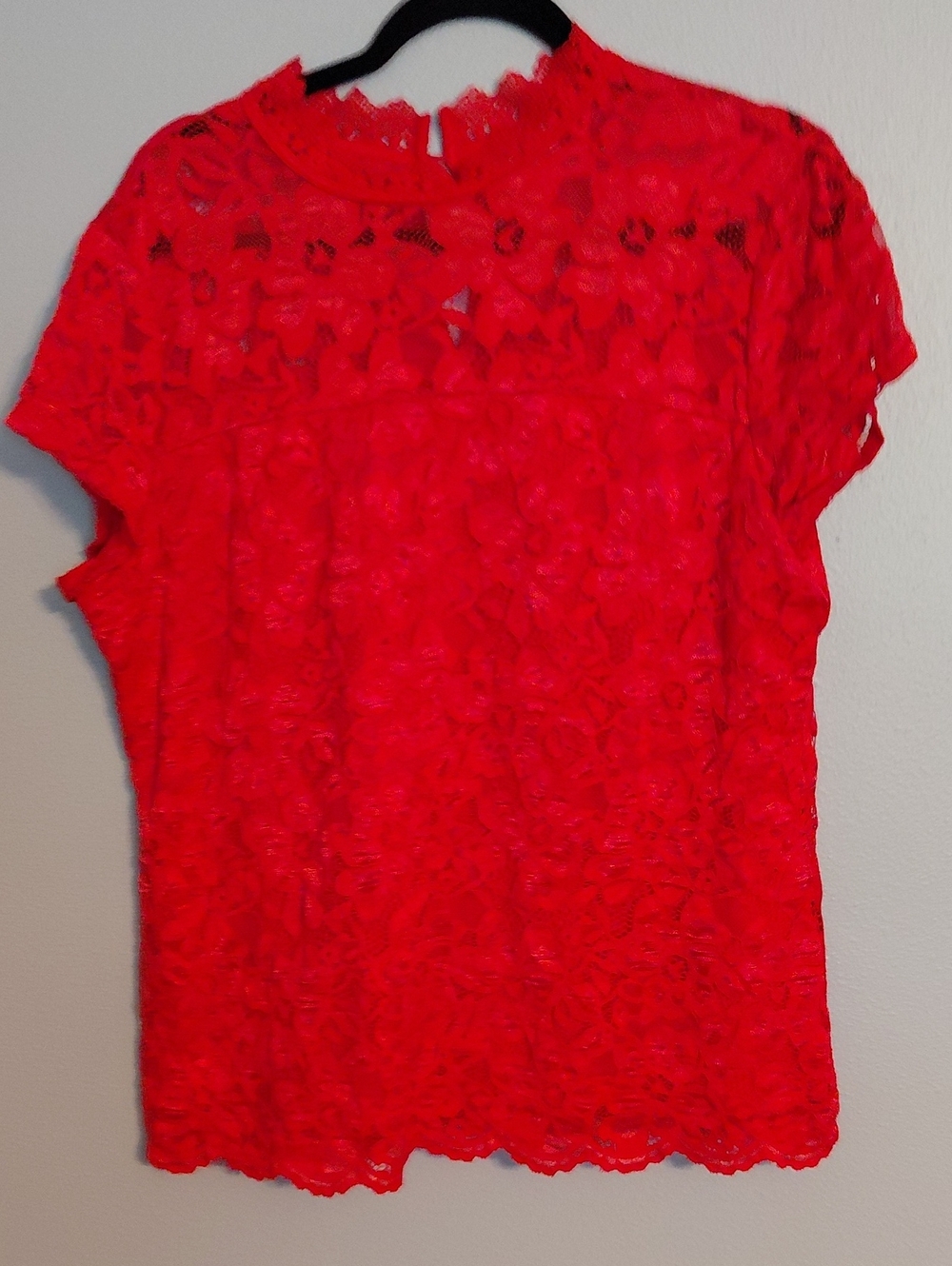 Adiva Bright Red Lace Short Sleeve Blouse